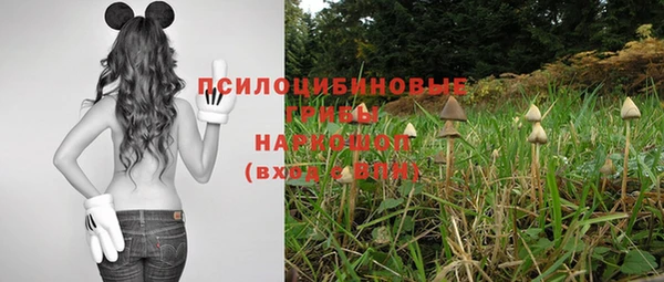синтетический гашиш Арсеньев