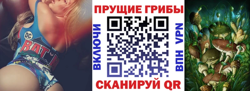 Псилоцибиновые грибы GOLDEN TEACHER  сайты даркнета клад  Малоярославец 