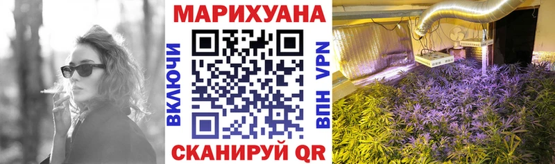 цена наркотик  Малоярославец  Бошки марихуана ГИДРОПОН 
